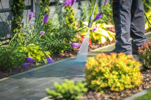 Reliable Jackson, CA Pressure Washing Solutions